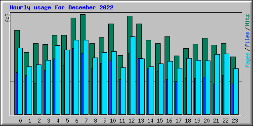 Hourly usage for December 2022