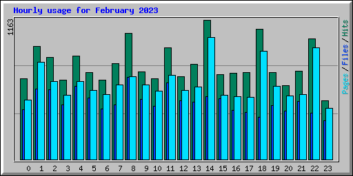 Hourly usage for February 2023