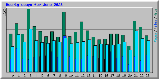 Hourly usage for June 2023