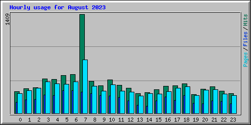 Hourly usage for August 2023